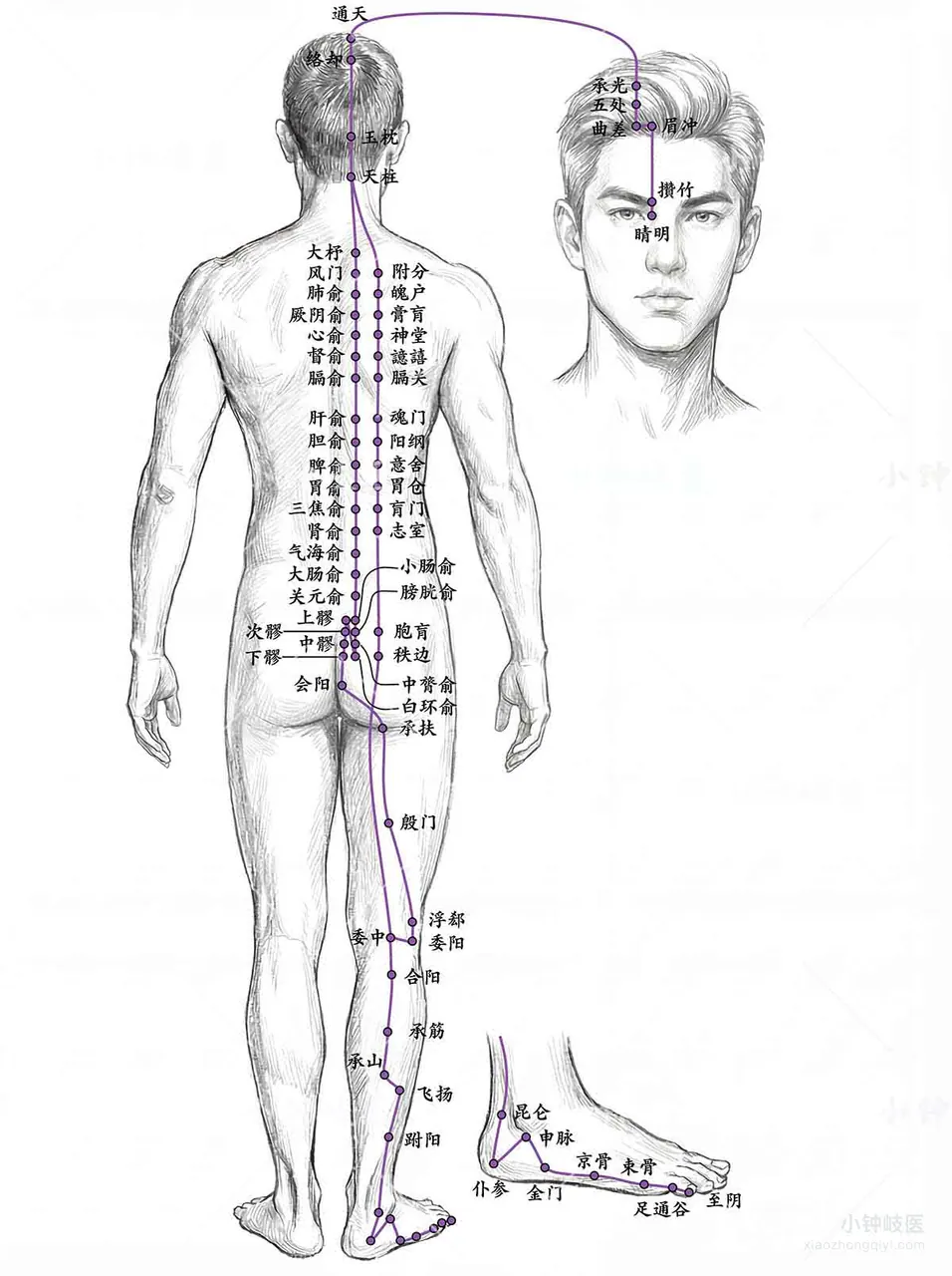 Foot Taiyang Bladder Meridian Atlas: External meridian pathway