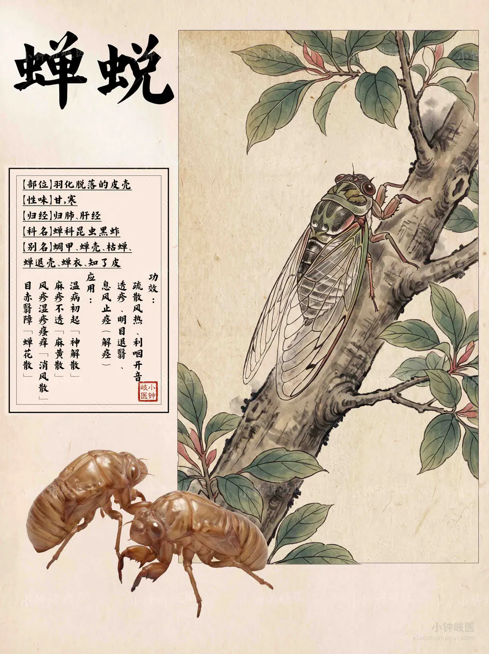 Chan Tui Atlas