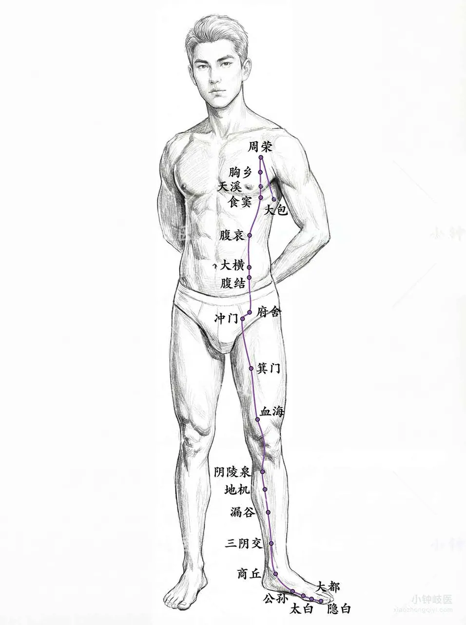 Foot Taiyin Spleen Meridian Atlas: External meridian pathway