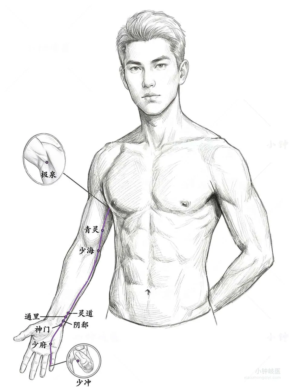 Hand Shaoyin Heart Meridian Atlas: External meridian pathway