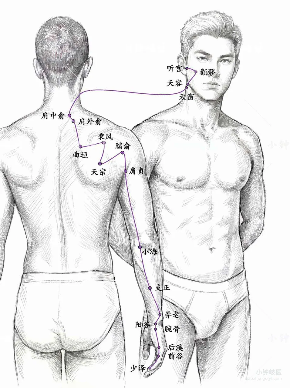 Hand Taiyang Small Intestine Meridian Atlas: External meridian pathway