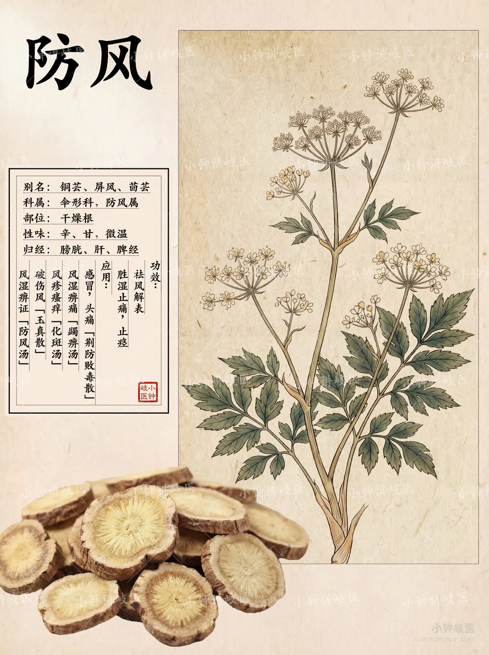 防風圖譜