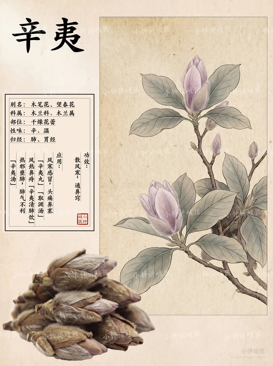辛夷圖譜