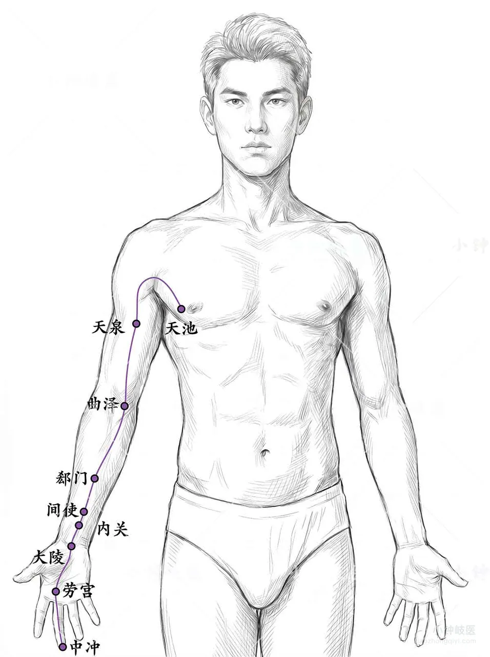 Hand Jueyin Pericardium Meridian Atlas: External meridian pathway