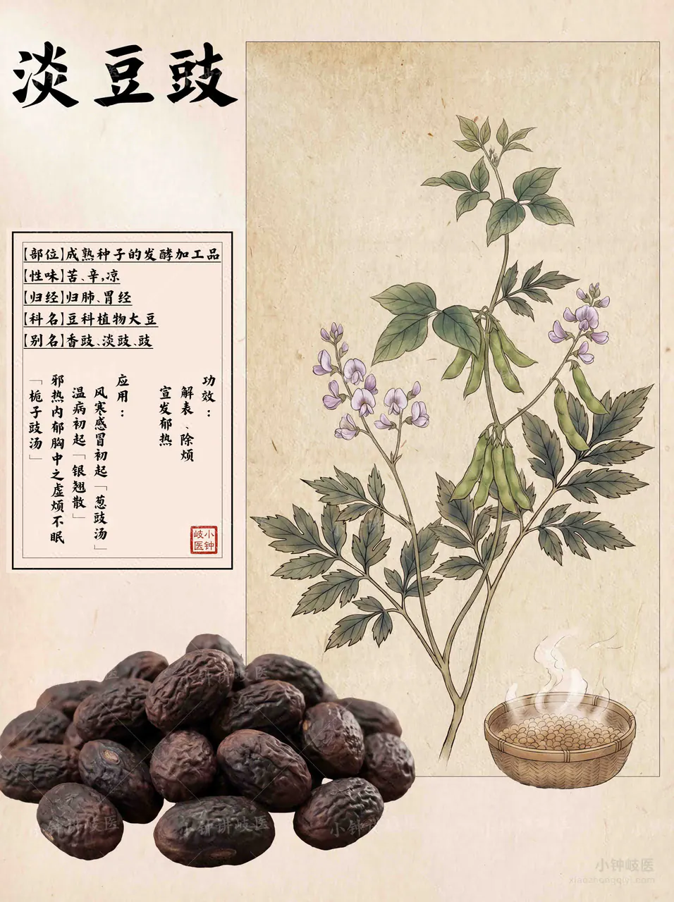淡豆豉图谱