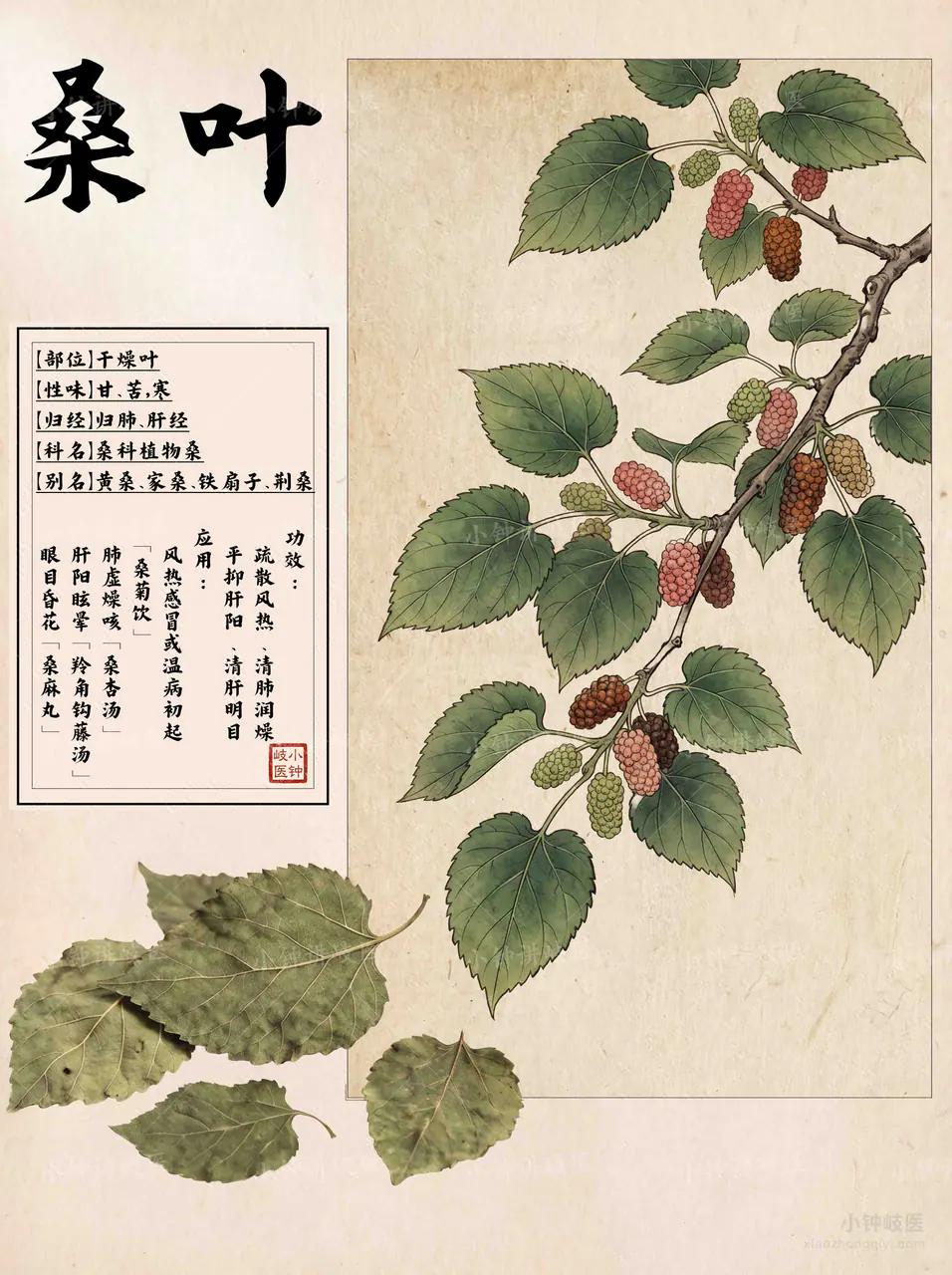 Sang Ye Atlas
