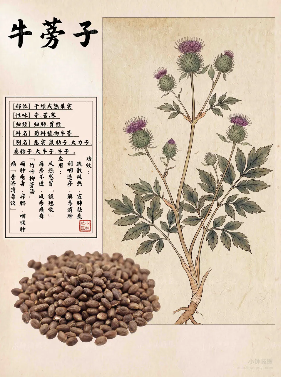 Niu Bang Zi Atlas